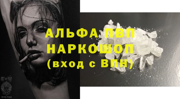 стафф Корсаков