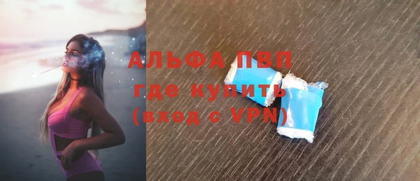 стафф Корсаков