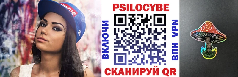 Купить  Михайловск  Галлюциногенные грибы Cubensis 