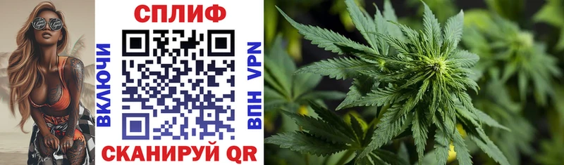 Бошки Шишки OG Kush  Купить где  Михайловск 